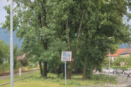 Neurje z vetrom podiralo drevesa in odkrivalo strehe (19)